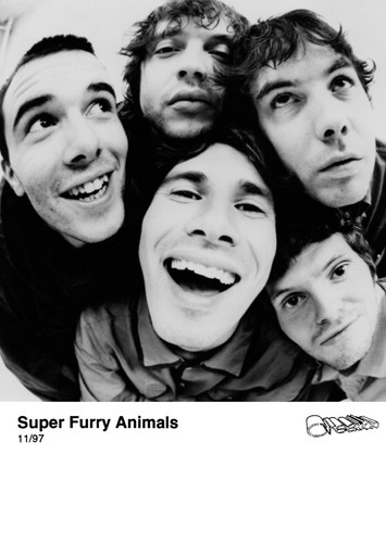Super furry animals promo - furry,