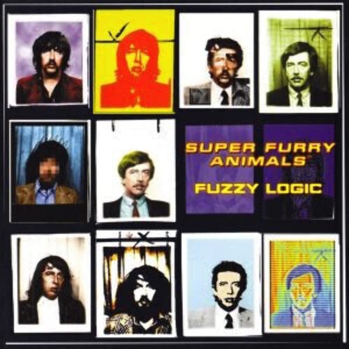 Super furry animals fuzzy - super,